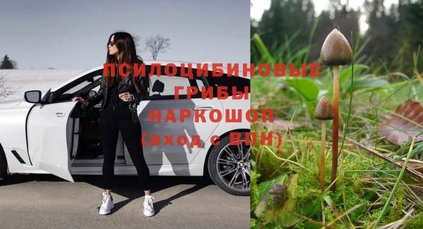 ECSTASY Приозерск